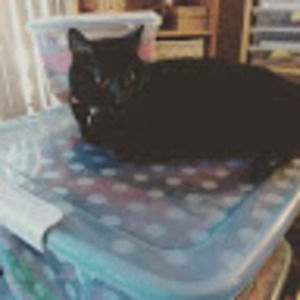 Meet your Posher, Nina